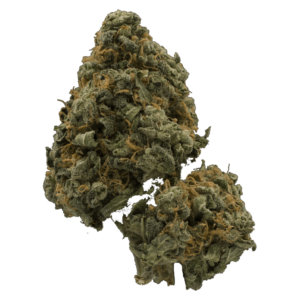 Mandarin Cookie (popcorn) | Kootenay Botanicals Canada