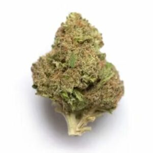 Supersonic | Kootenay Botanicals Canada
