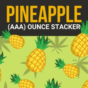 Pineapple 1 OZ Kit | Kootenay Botanicals Canada