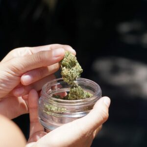 ounce of cannabis in Canada | Kootenay Botanicals Canada
